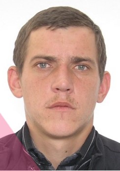 ГРИНЮК ВІКТОР ПЕТРОВИЧ