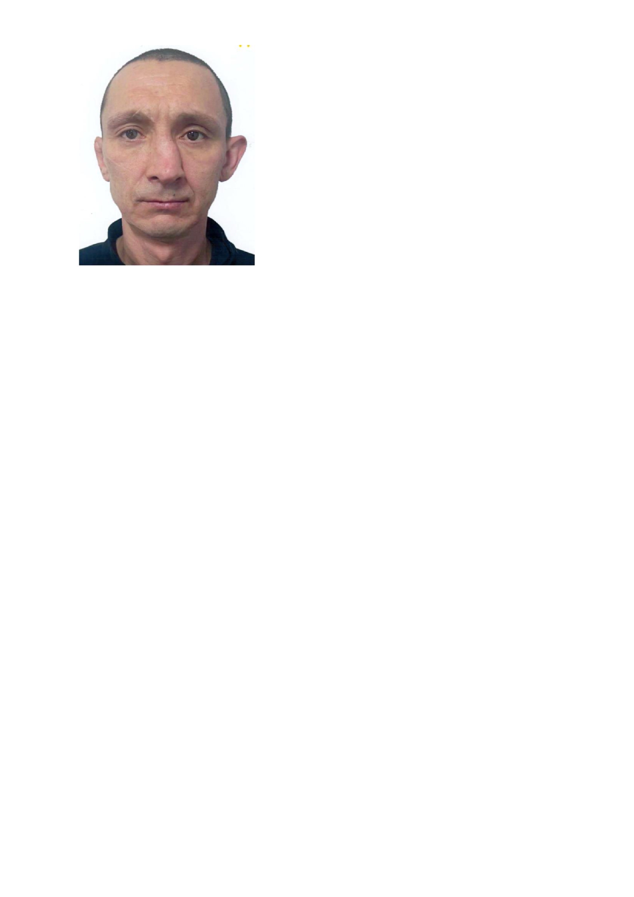 ПЕРЕВЕРЗЄВ МАКСИМ СЕРГІЙОВИЧ