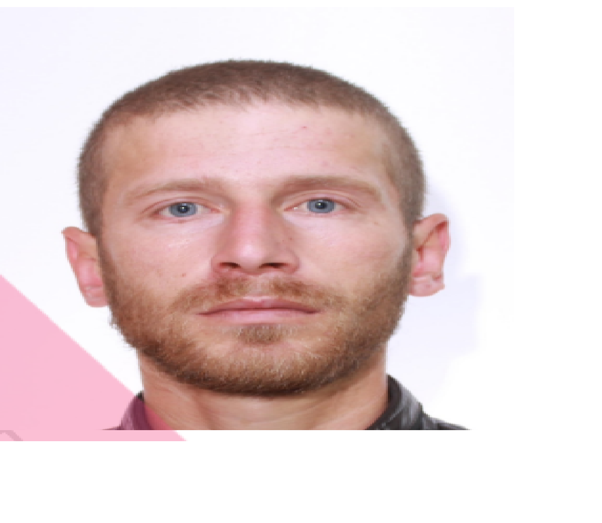 ЛЕЛЕКА СТЕПАН МИКОЛАЙОВИЧ