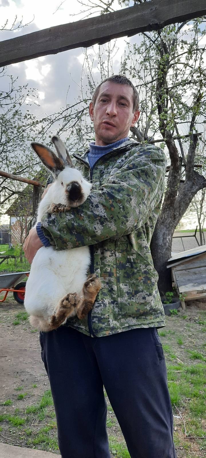 КАРПЕНКО ОЛЕКСІЙ ВАСИЛЬОВИЧ