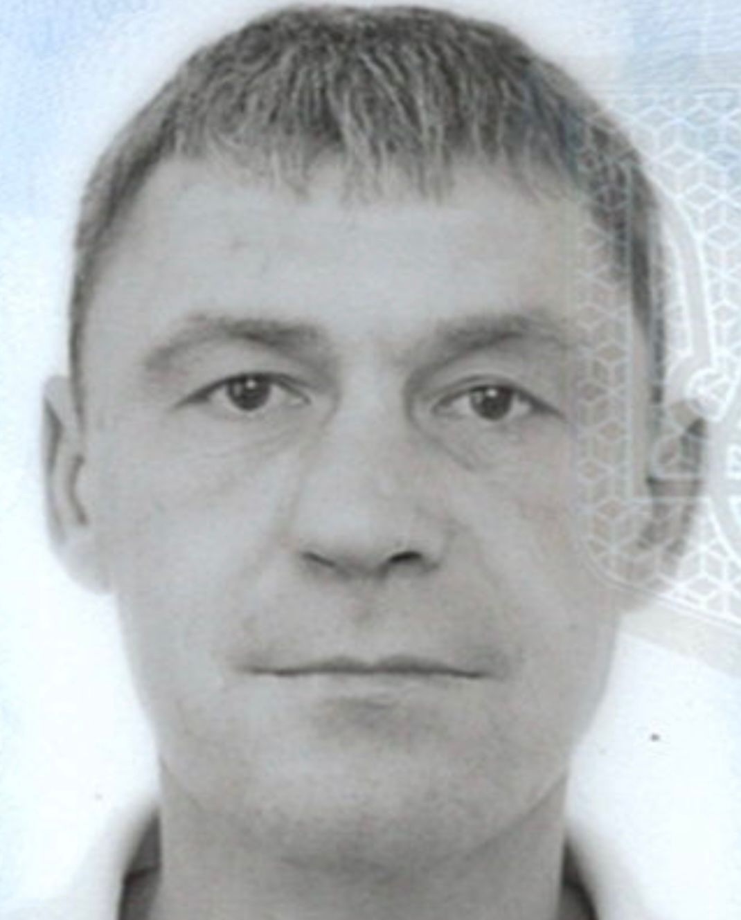 ЦЕХМЕЙСТРУК БОГДАН ВІТАЛІЙОВИЧ