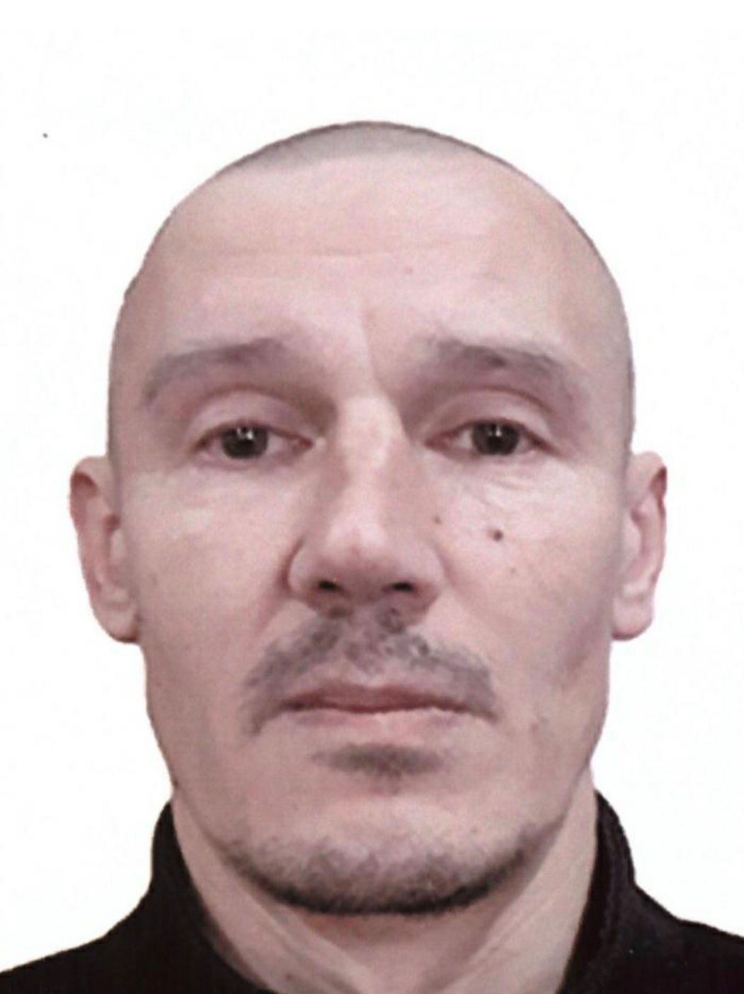 НІКОЛАЄВ ВОЛОДИМИР МИКОЛАЙОВИЧ