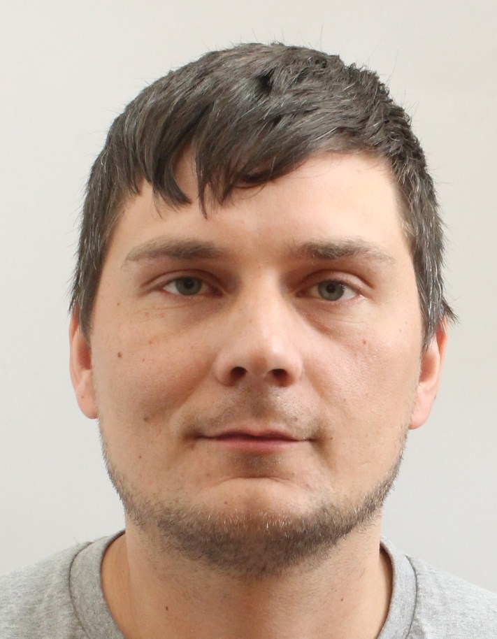 ГРІНЬОВ ДМИТРО ОЛЕКСАНДРОВИЧ
